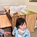 미나목장 이미지