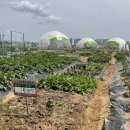 병수네농장 이미지