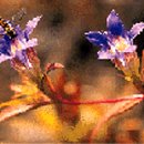 용담민박 이미지