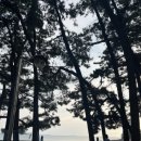 대천콘도 노래연습장 이미지