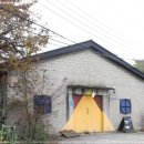 플랜트202