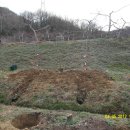 병서네 농장 이미지