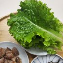 싱싱한 농업회사법인 주식회사 네이버블로그