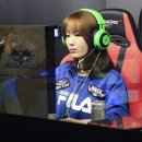 위너스기획