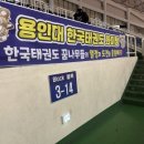 용인대 한국 체육관(태권도) 이미지