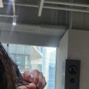 비롬헤어 정자본점 이미지