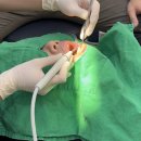 이바른치과기공소 이미지