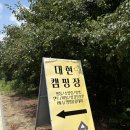 대현캠핑장 이미지