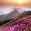 산 이미지