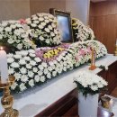 서울대병원장례식장 후불지불 가능한 노블레스 상조
