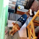 손가네연탄구이 이미지