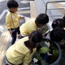 반월어린이집 이미지