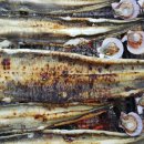 추봉도바다펜션 이미지