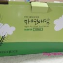 자연애담 이미지