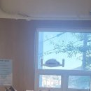 폴인캣츠 이미지