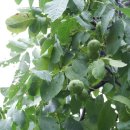 고골낚시터 이미지