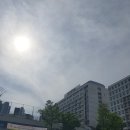 사또곱창 | 서울 명지대 맛집 모래내곱창 야채곱창순대볶음 재방문 내돈내산 솔직후기