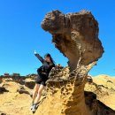 세븐일레븐대구역사점 | 날씨요정 모녀가 다녀온 9월의 대만 여행🧚🏻/예스폭지 투어/미드타운 리차드슨 호텔/시먼역근처호텔추천...