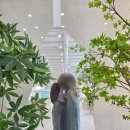 금호강영천 | 대구 근교 영천 베이커리 카페 금호강 뷰 릴리 카페