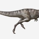 고생물학자의 비밀 무기: Artec 3D 스캐닝으로 아시아 티라노사우루스를 되살린 방법