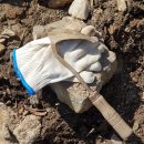 김일환 농장 | 2024그룹우프@GG101 두레산지농장(3월 9일)