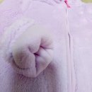 신성드라이크리닝