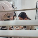 라라캣 | 역삼 라라캣 - 고양이 무마취 미용