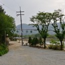 숲속의안뜰 이미지