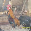 미니농장 이미지