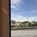 경유여행 완벽코스 ( 머라이언파크 / 마리나베이 / 야쿤카야토스트 / 슈퍼트리쇼 / 쥬얼창이 / SQ0231 )
