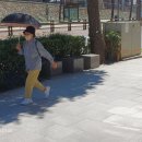 대경아파트앞 이미지