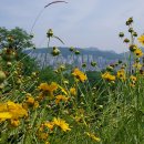 증산배수지 이미지