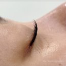 메이드연