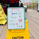 안산요트아카데미 | 아이랑 안산 무료 보트 체험! 직접 타본 생생 후기