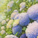 숲속의향기 이미지