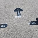 쉬어가삼(례:) 네이버블로그