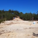 너래농원 이미지