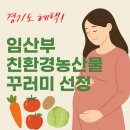경기도 2025년 임산부 친환경 농산물 지원사업 선정후기