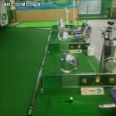 새한스크린골프 | 중랑구 면목동 골프 새한스크린골프연습장 메뉴가격운영시간주차리뷰 알아보기