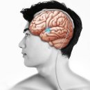 &#34;파킨슨병 뇌심부자극술, 장기적으로 안전하고 효과 높아&#34; 아시아경제 원문 기사전송 2022-10-07 10:31 이미지