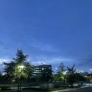 노랑통닭세종 - 세종특별자치시 시청대로 213 | [세종특별자치시] 노랑통닭 도담점 포장 후기