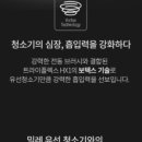 도그렉스 네이버블로그