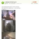 퀸투어스 이미지