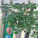 황소당구장 이미지