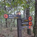 녹차밭약수터 이미지