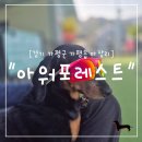 가평읍 | "경기 가평군" 가평 울타리 있는 애견캠핑장 아워포레스트 후기 | 포레스트13 + 명당자리 추천