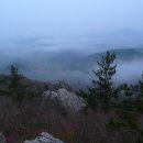 땅끝 남도의 향기 이미지