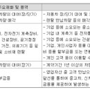 ㈜렌트카케어 이미지