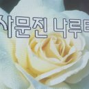 _나루터로2-11 이미지