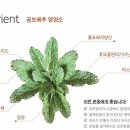 용운1농장 이미지